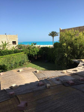 العلمين